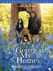 Going my Home - Episodes 8 et 9 (2020)